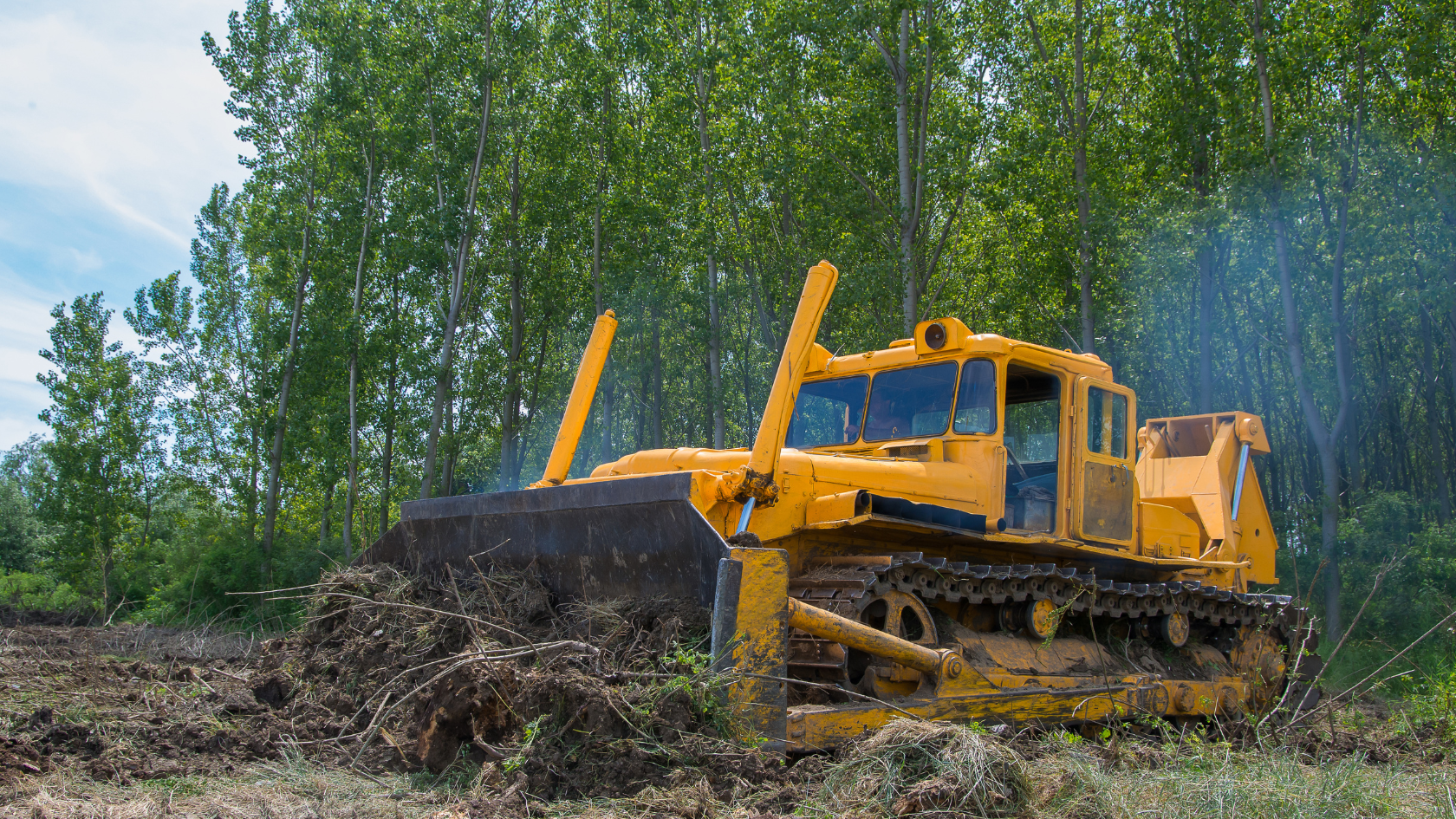 A large yellow bulldozer sitting in the middle of a forest